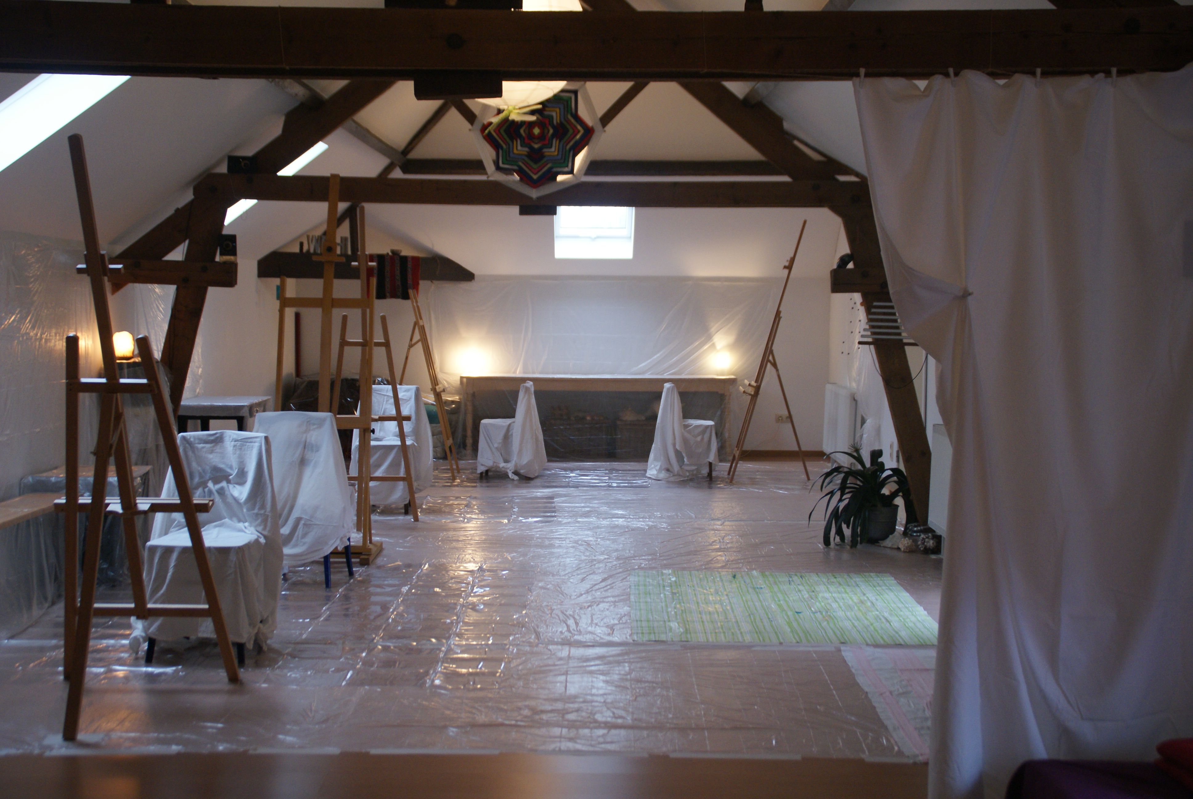 Gallery image 5