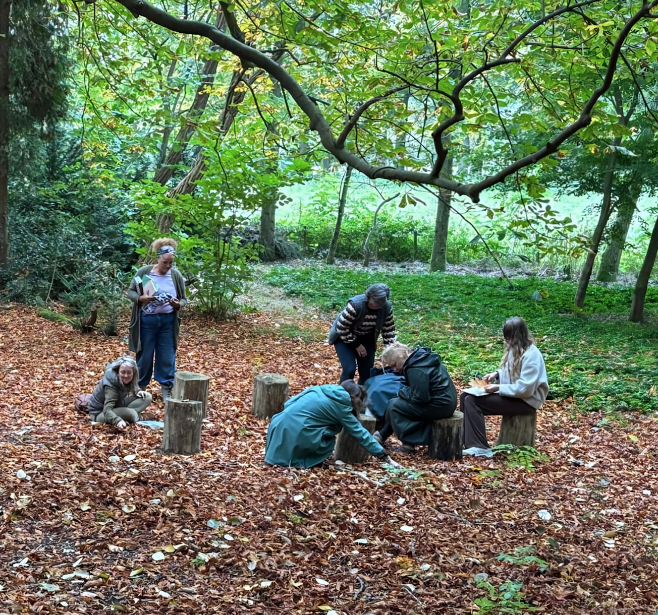 Forest Bathing