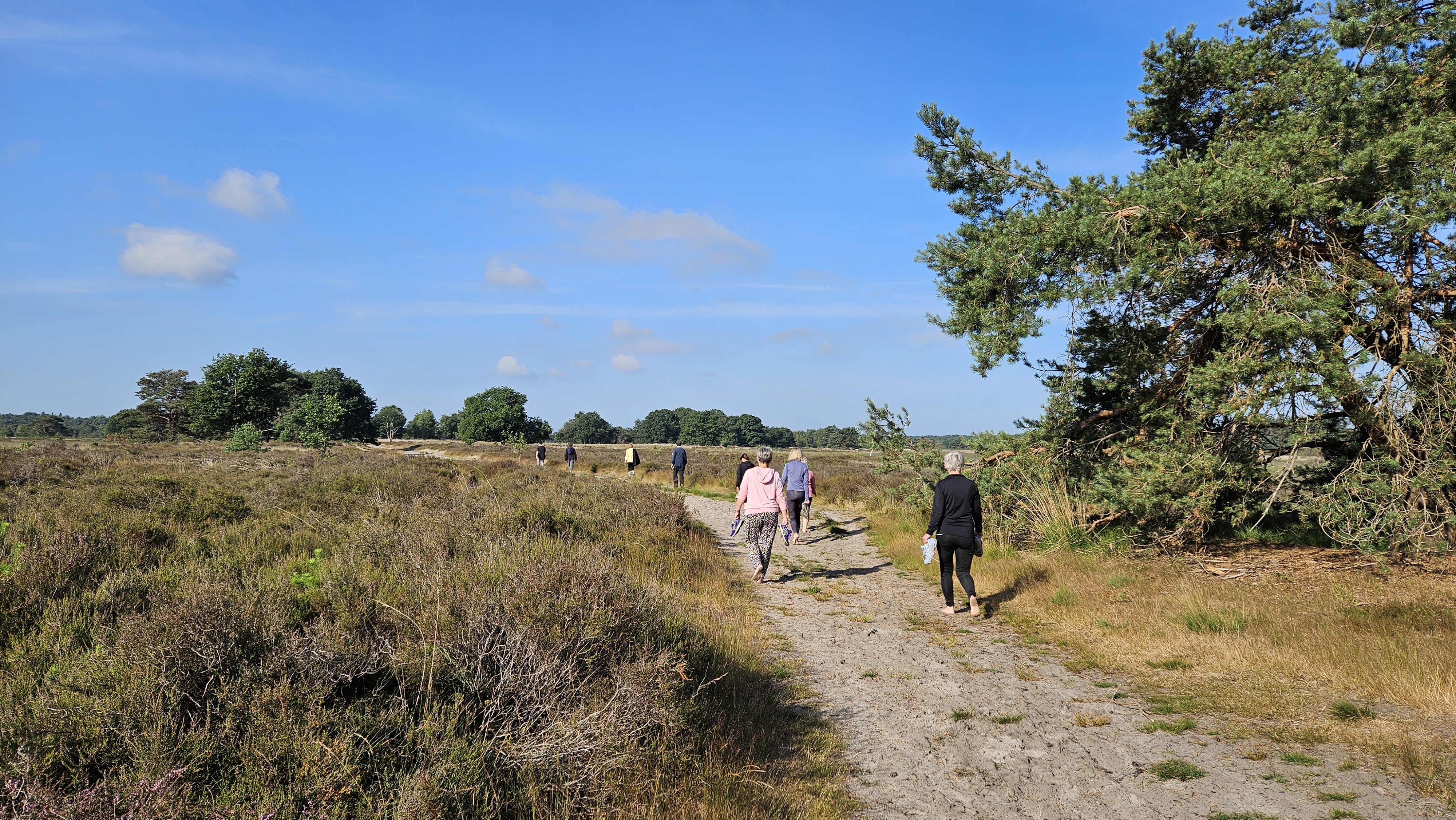 Zomerspecial: Stem van de Natuur